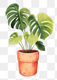 PNG Plant houseplant leaf freshness. 