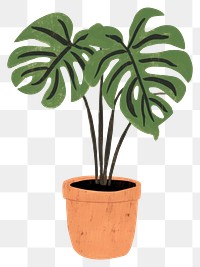 PNG Plant houseplant leaf flowerpot transparent background