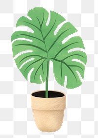 PNG Plant houseplant leaf vase. 