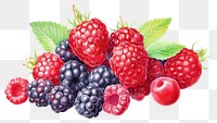 PNG Blackberry raspberry berries fruit, digital paint illustration.