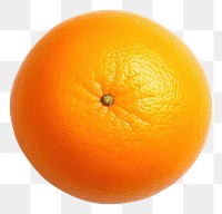 PNG Grapefruit orange plant food. AI generated Image by rawpixel.