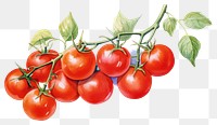 PNG Vegetable tomato fruit plant. AI generated Image by rawpixel.