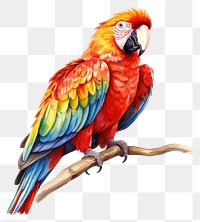 PNG Parrot animal bird creativity. AI generated Image by rawpixel.