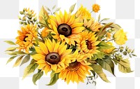 PNG Sunflower plant flower bouquet inflorescence