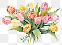 PNG Tulip painting flower plant