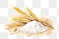 PNG Wheat food ingredient triticale. AI generated Image by rawpixel.