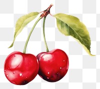 PNG Cherry produce fruit plant. 