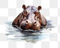 PNG Wildlife animal mammal hippopotamus. AI generated Image by rawpixel.