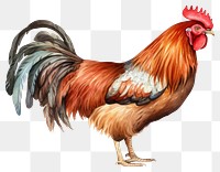 PNG Chicken poultry animal fowl. AI generated Image by rawpixel.