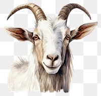 PNG Livestock animal mammal portrait. AI generated Image by rawpixel.