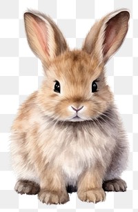 PNG Cute rabbit  bunny animal, watercolor illustration