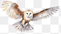 PNG Owl animal flying bird