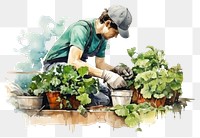 PNG Gardening outdoors adult plant. AI generated Image by rawpixel.