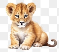 PNG  lion cub animal watercolor