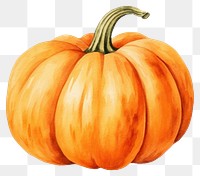 PNG Pumpkin vegetable squash autumn