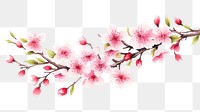 PNG Cherry Blossom flower. AI generated Image by rawpixel.