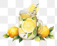 PNG Lemonade fruit drink plant. 
