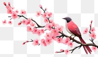 PNG Outdoors blossom nature flower. AI generated Image by rawpixel.