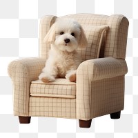 PNG Armchair dog furniture mammal. 