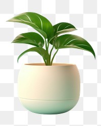 PNG Plant houseplant leaf vase. 