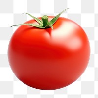 PNG Tomato vegetable fruit plant. AI generated Image by rawpixel.