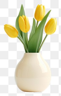 PNG Tulip vase flower yellow. 