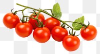 PNG Vegetable tomato fruit plant. AI generated Image by rawpixel.