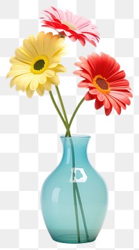 PNG Flower vase plant daisy. 