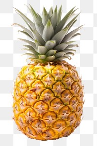 PNG Pineapple fruit plant food. 