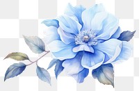 PNG Flower plant rose blue. 