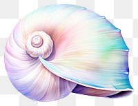 PNG Seashell snail invertebrate pattern