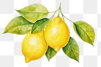 PNG Lemon fruit plant food