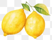 PNG Lemon fruit plant food. AI generated Image by rawpixel.