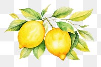 PNG Lemon fruit plant food. AI generated Image by rawpixel.