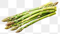 PNG Asparagus vegetable plant food. 