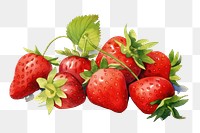 PNG Strawberry berries fruit plant