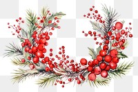 PNG Wreath christmas pattern plant. 