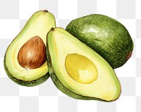PNG Avocado fruit plant food. AI generated Image by rawpixel.