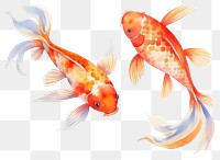 PNG Fish goldfish animal koi. 