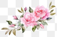 PNG Rose pattern flower plant