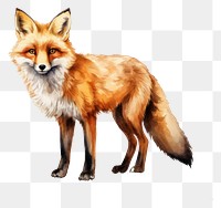 PNG Fox wildlife animal mammal. AI generated Image by rawpixel.