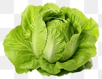 PNG Lettuce vegetable plant food. 