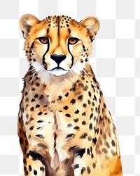 PNG Cheetah wildlife animal mammal. 