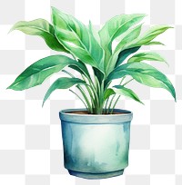 PNG Plant vase leaf houseplant. 