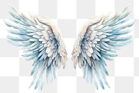 PNG Angel bird creativity archangel