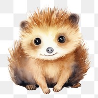 PNG Animal hedgehog mammal cute. AI generated Image by rawpixel.
