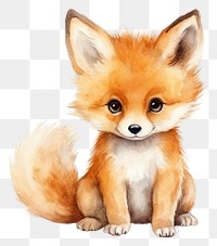 PNG Animal mammal cute fox. 