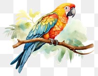 PNG Parrot animal bird creativity. 