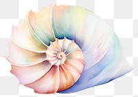 PNG Spiral shell conch invertebrate