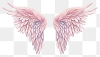 PNG Angel archangel softness feather. 